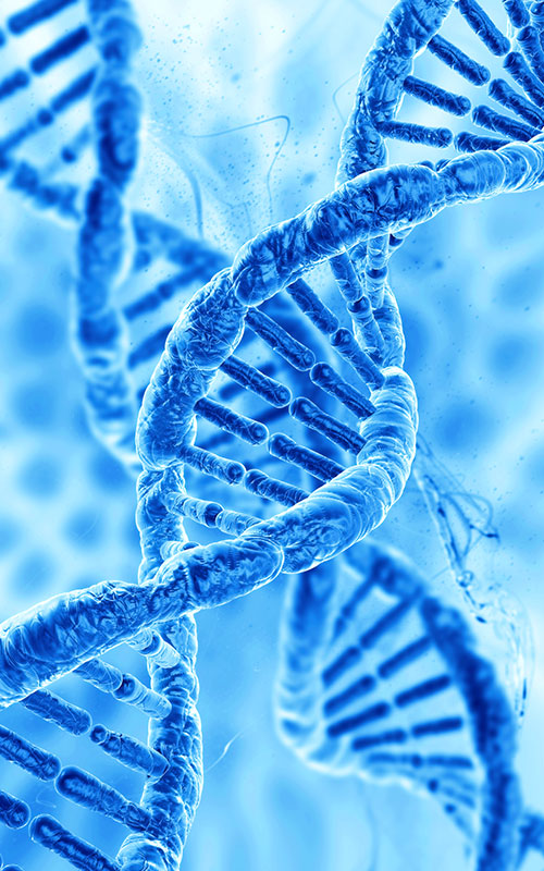 Anhua Bio lance un produit PDRN : reconstruire la chaîne d'approvisionnement mondiale en matières premières pour la régénération tissulaire grâce à la biologie synthétique